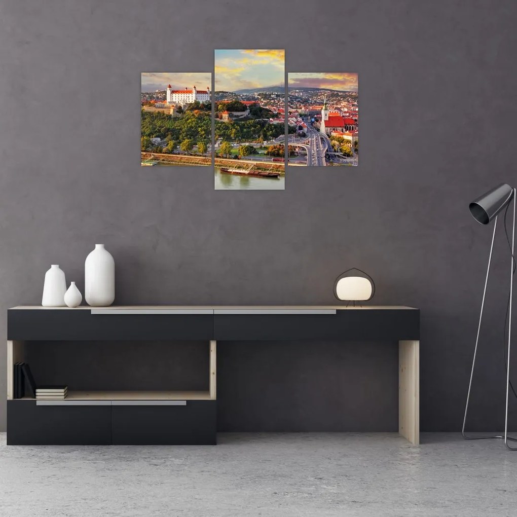 Tablou - Panorama bratislavei, Slovacia (90x60 cm)