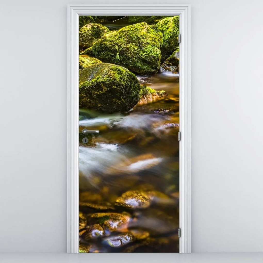 Fototapet pentru ușă - Pârâu (95x205cm)