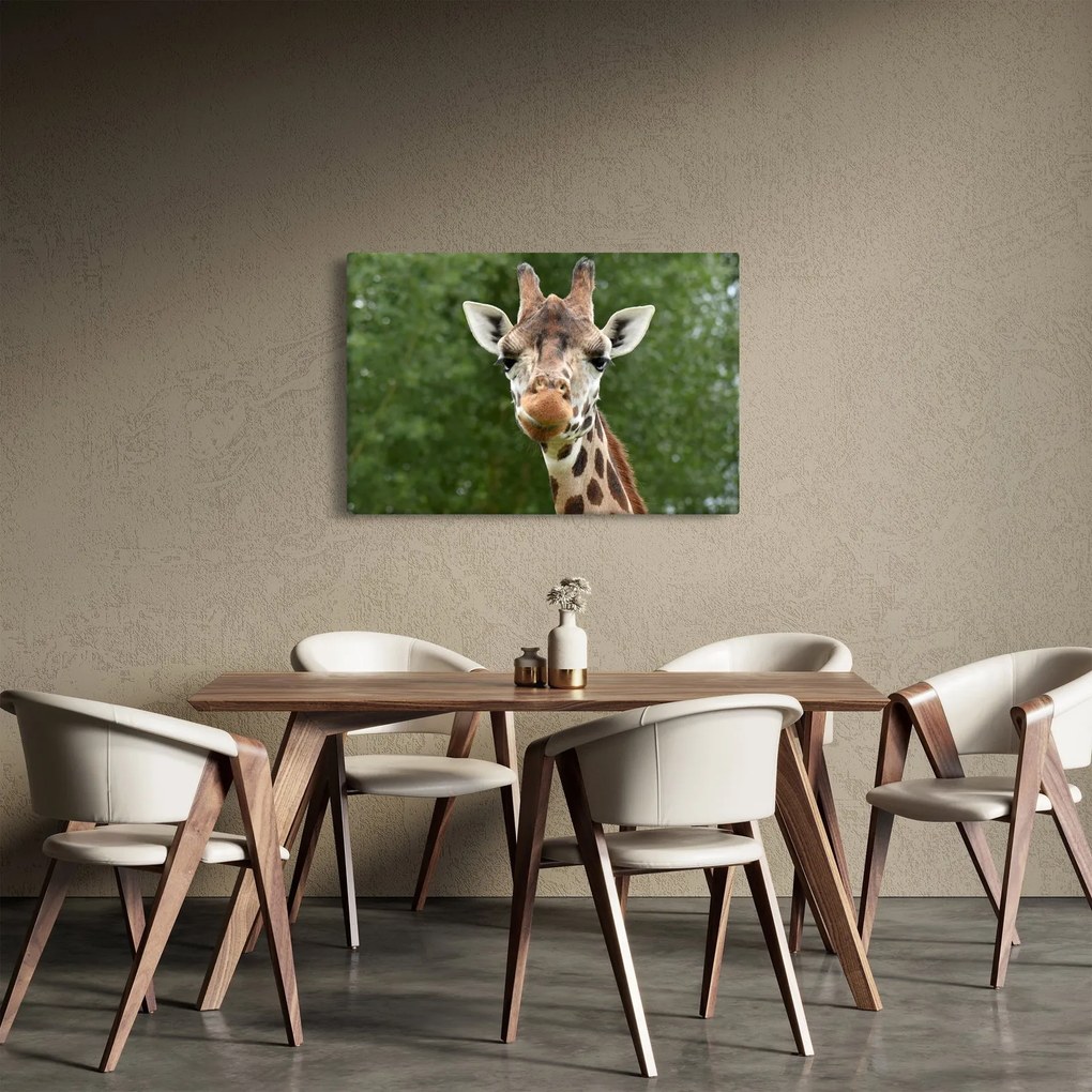 Tablou cu girafa (90x60 cm)