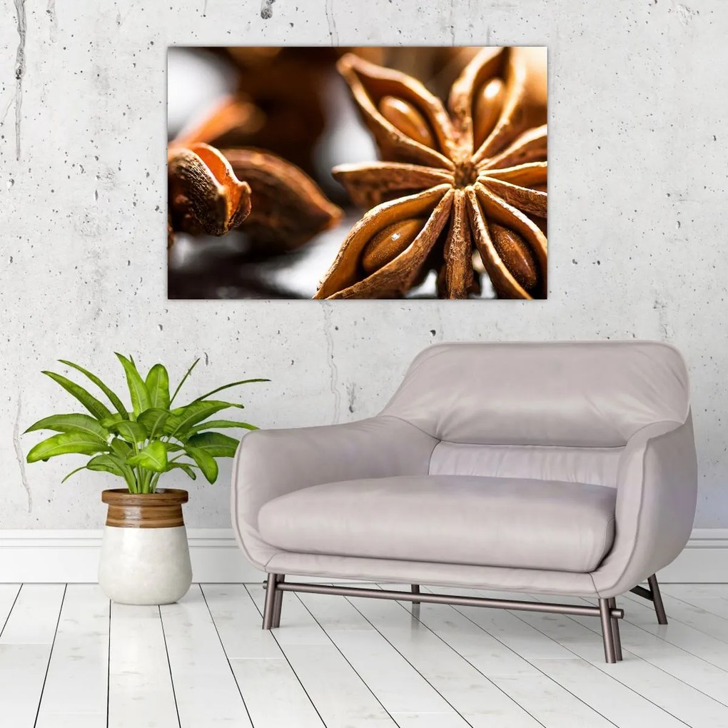 Tablou - Anason (90x60 cm)