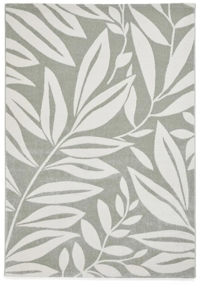 Covor verde deschis 160x230 cm Sorral Leaves – Catherine Lansfield