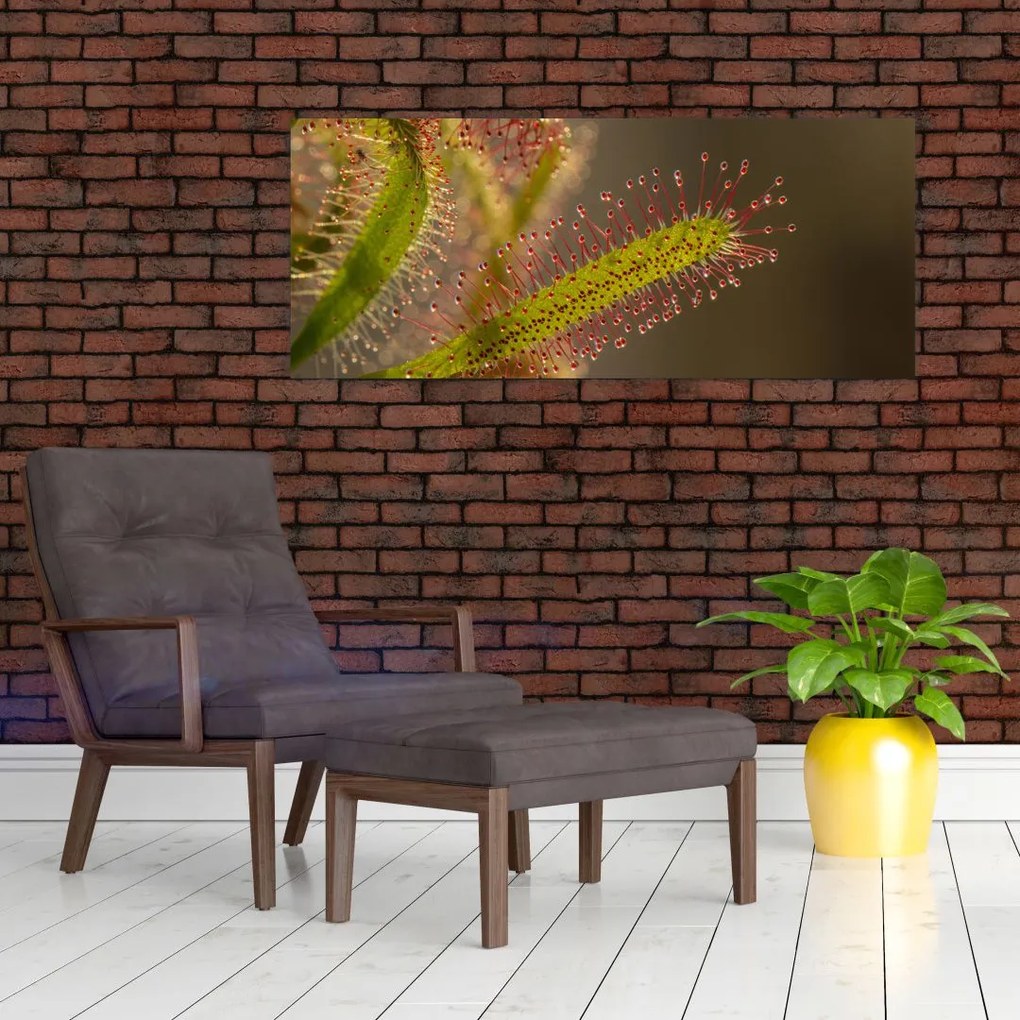 Tablou cu plantă (120x50 cm)