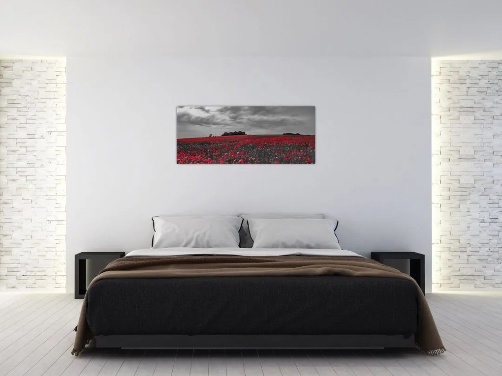 Tablou cu maci (120x50 cm)