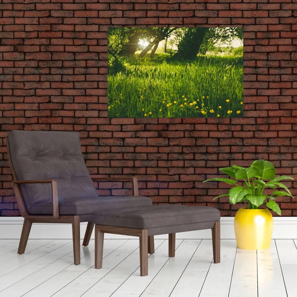 Tablou cu natura - lunca (90x60 cm)