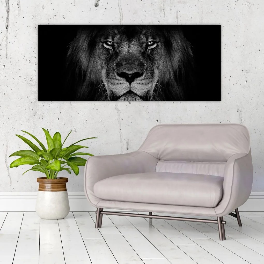 Tablou - Leu majestic (120x50 cm)