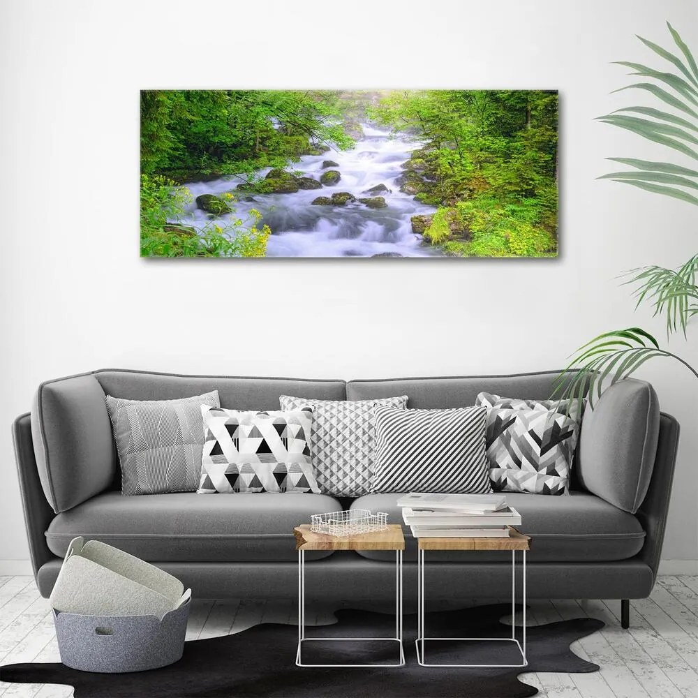 Imprimare tablou canvas Râu de munte