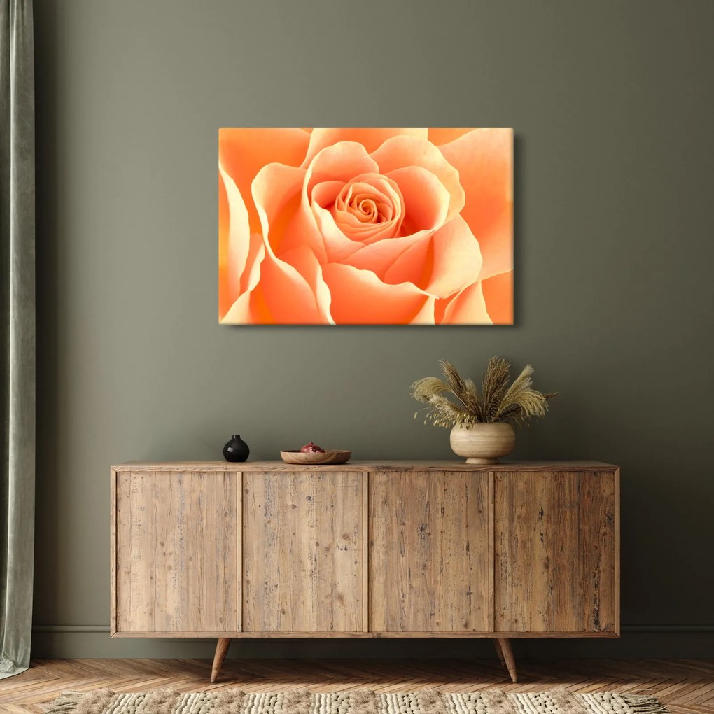 Tablou - Imaginea- Trandafiri, culoarea caisei (90x60 cm)