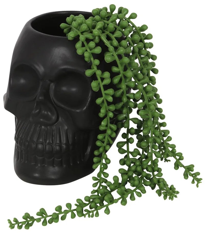 Ghiveci Craniu 13 cm