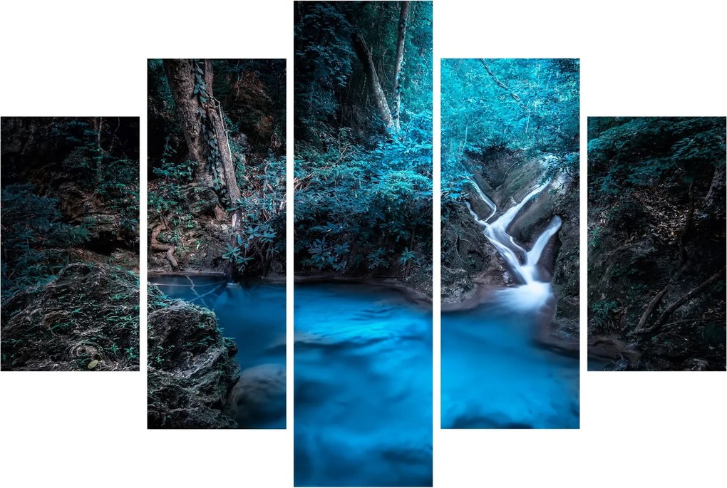 Tablou - Noaptea magică în pădurea tropicală (150x105 cm)