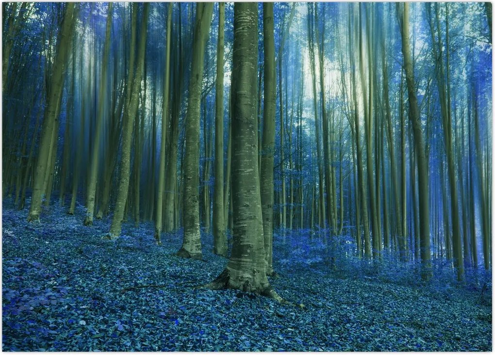 Tablou - Pădure albastră (70x50 cm)