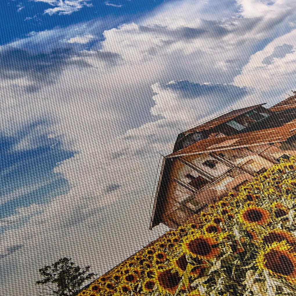 Tablou cu câmp de floarea soarelui (120x50 cm)