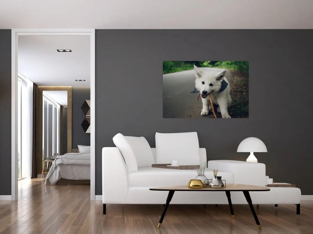 Tablou cu câinele alb (90x60 cm)