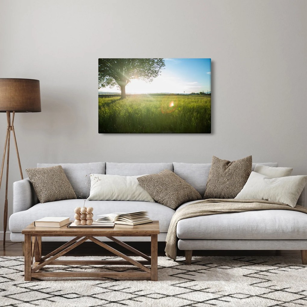 Tablou - Copac în câmp (90x60 cm)