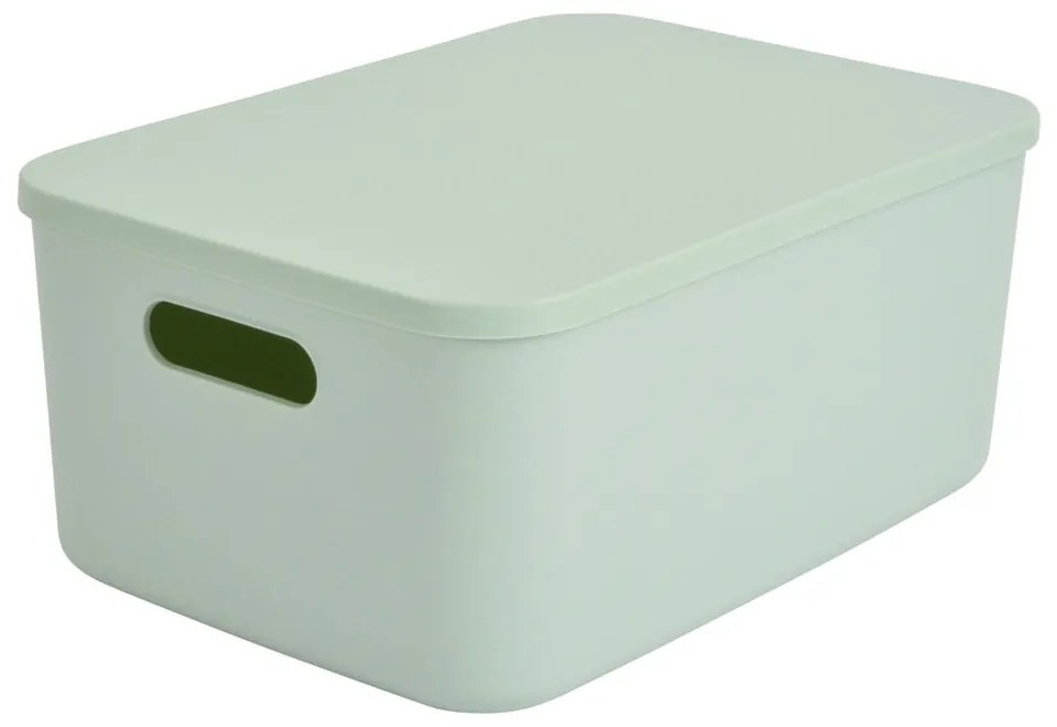 Cutie de depozitare verde-deschis din plastic cu capac 35,5x25,5x16 cm – Homéa