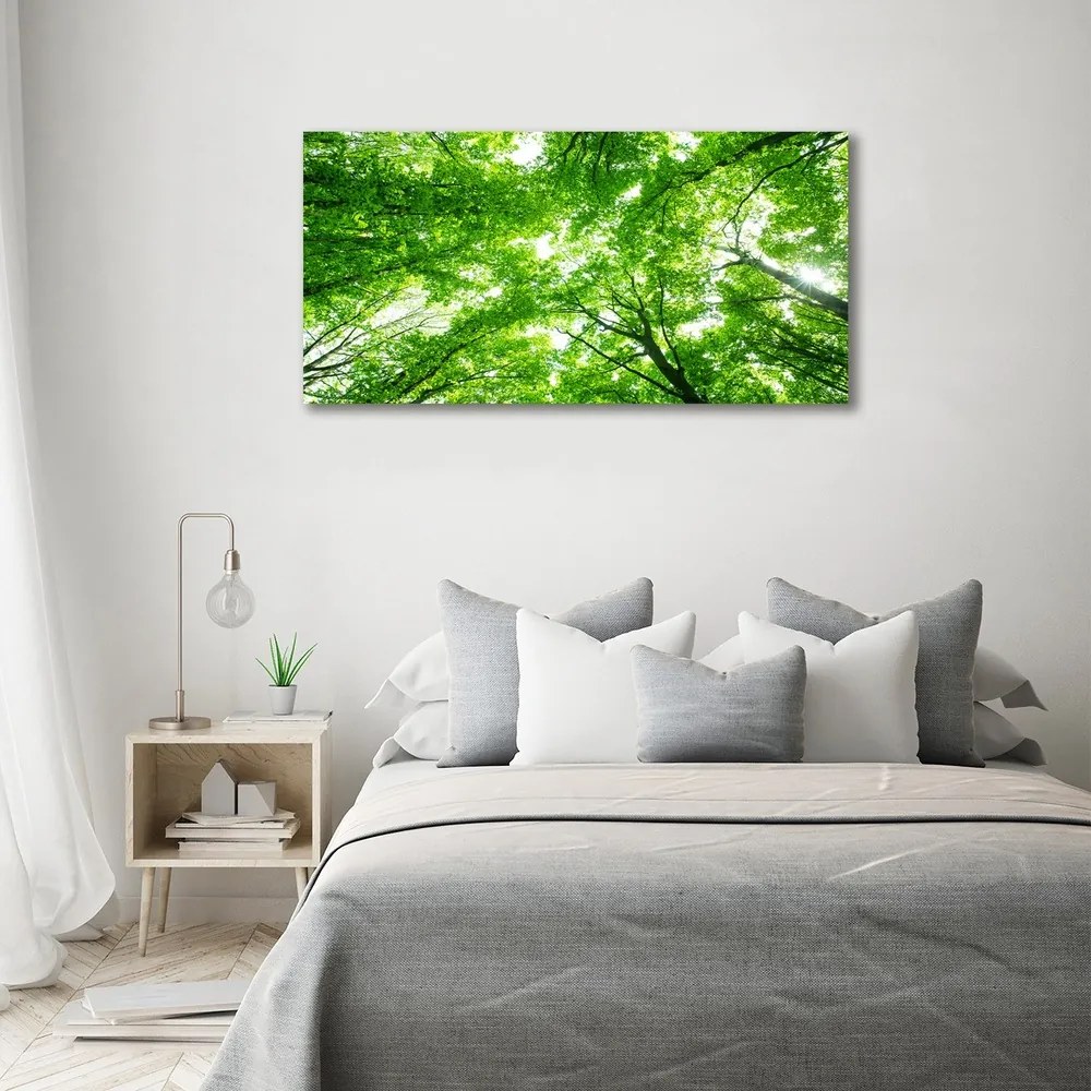 Tablou canvas Pădure verde