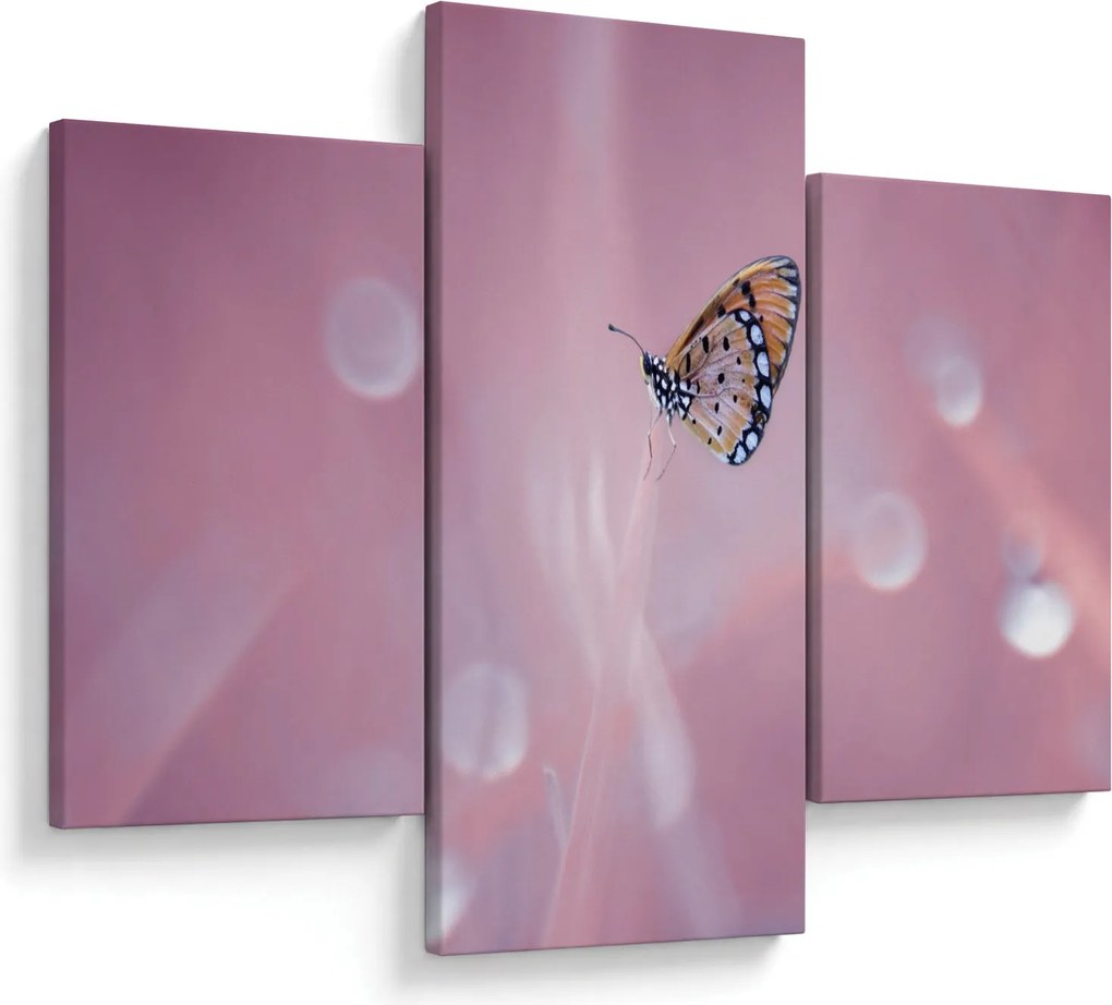 Tablou - Fluture (90x60 cm)