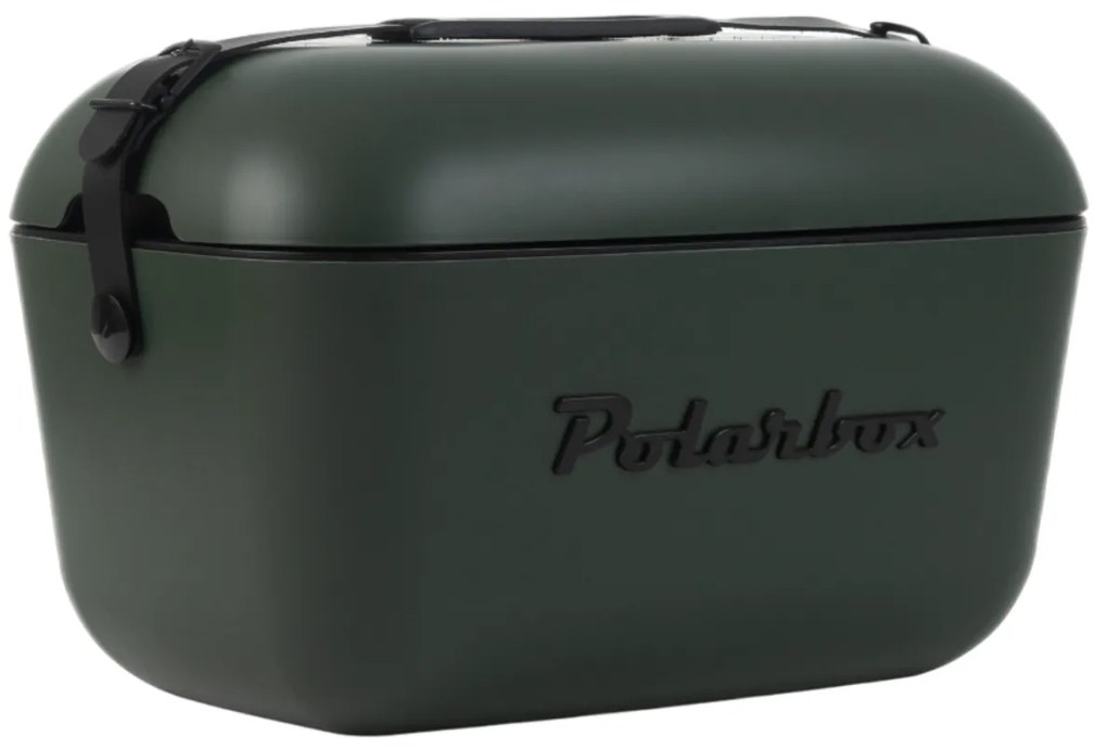 Polarbox Cutie de răcire Classic Black 12 l, verde, 12 l