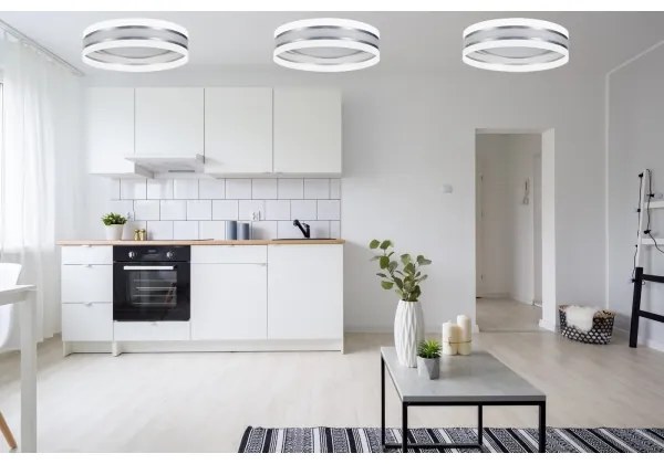 Plafonieră LED dimabilă SMART CORAL LED/24W/230V albă/argintie + telecomandă