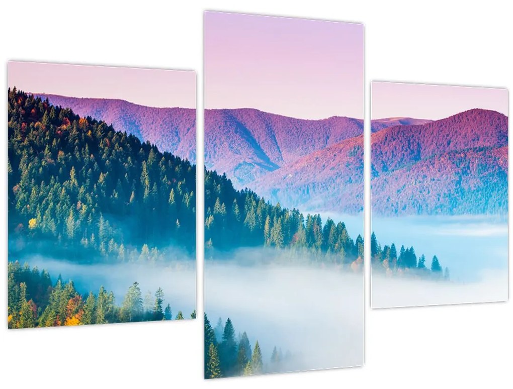 Tablou - Panoramă 2 (90x60 cm)