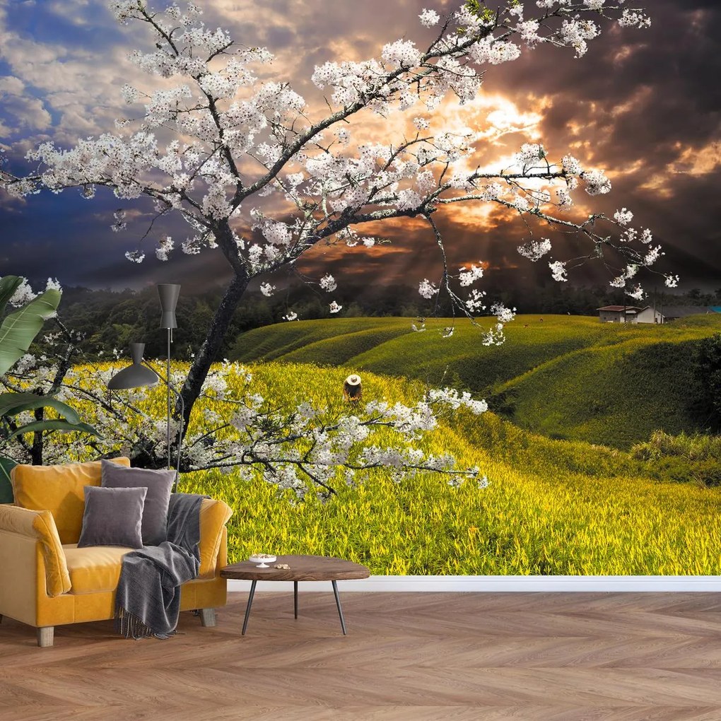 Fototapet - Copac înflorit în peisaj (147x102 cm)