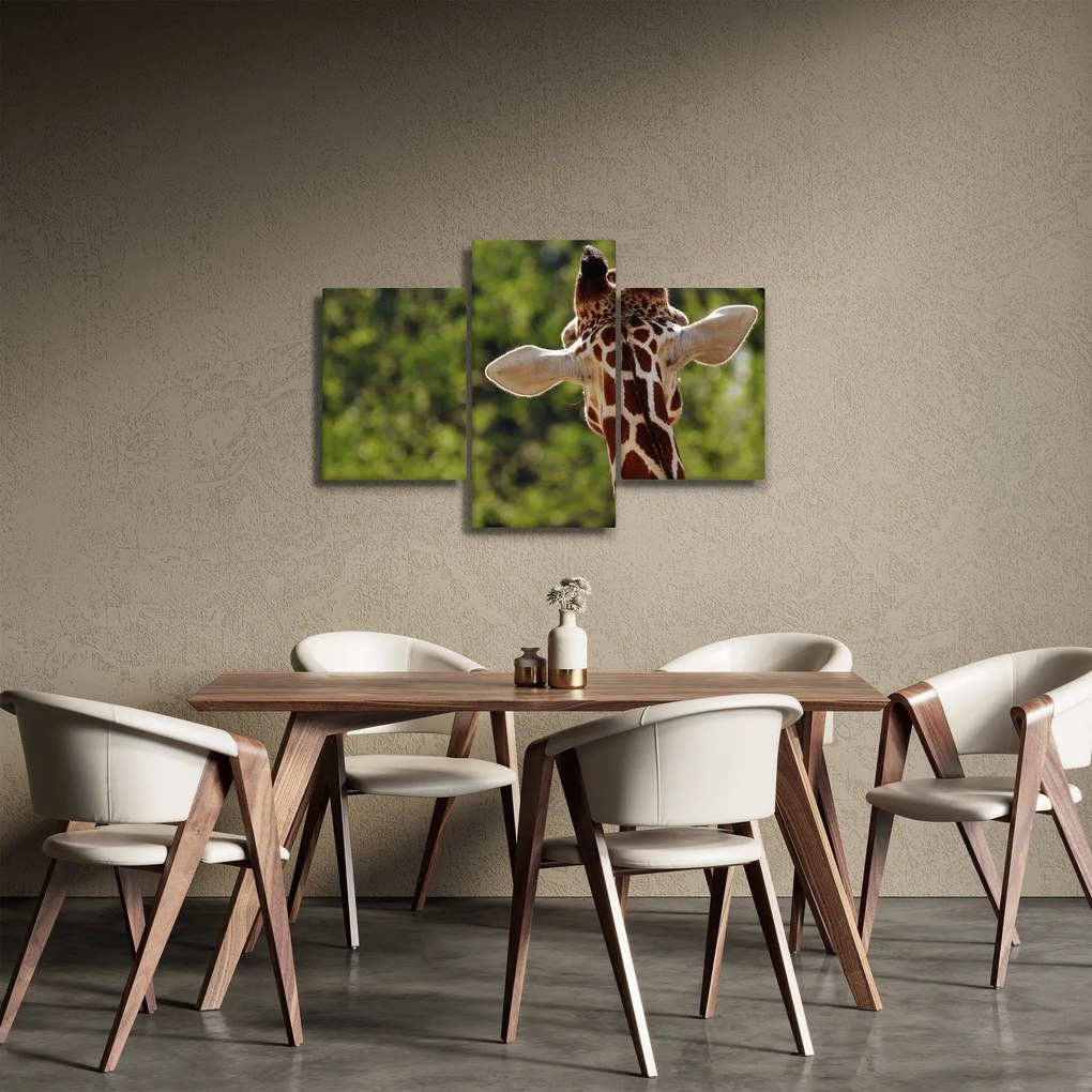 Tablou cu girafă din spate (90x60 cm)