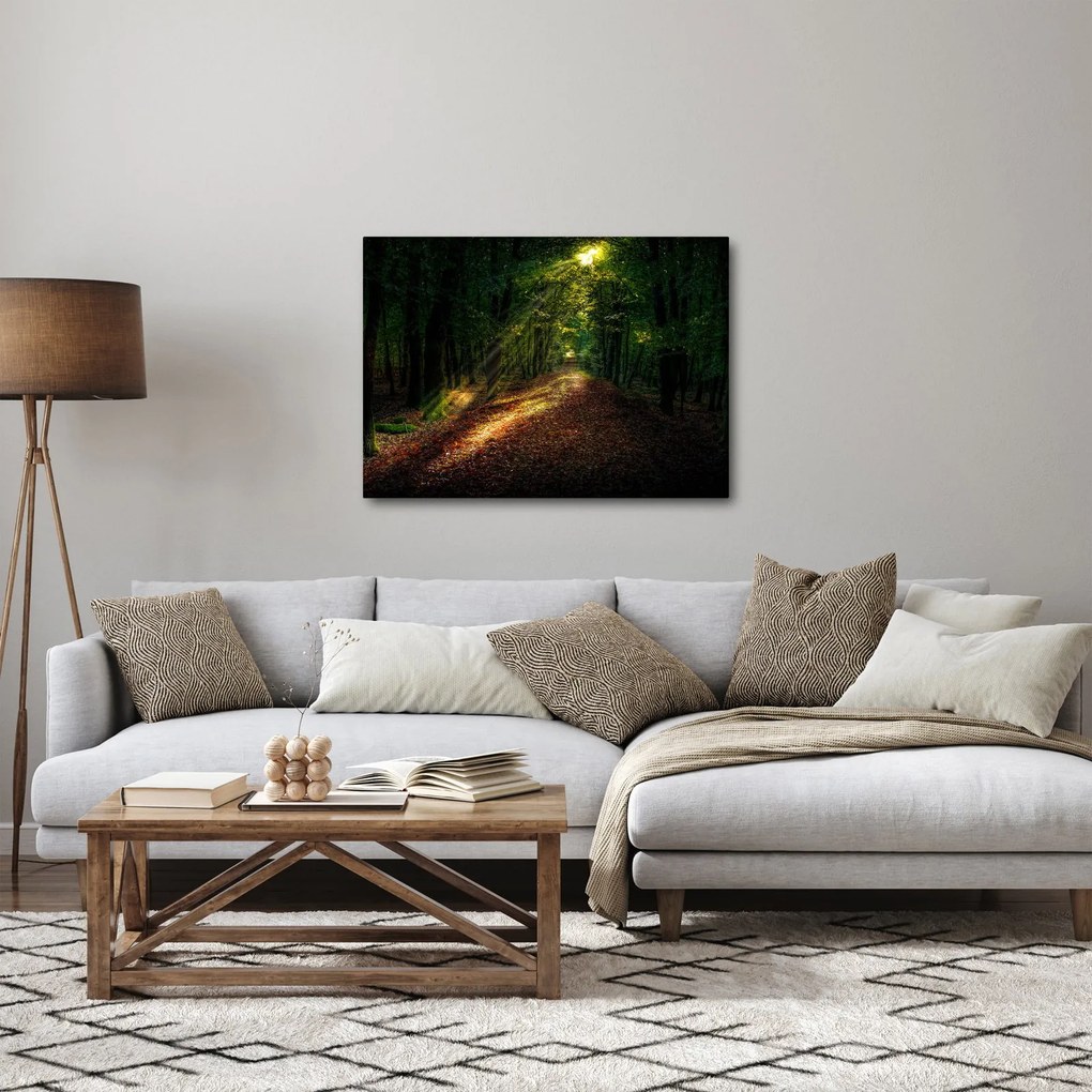 Tablou cu poteca prin pădure (70x50 cm)