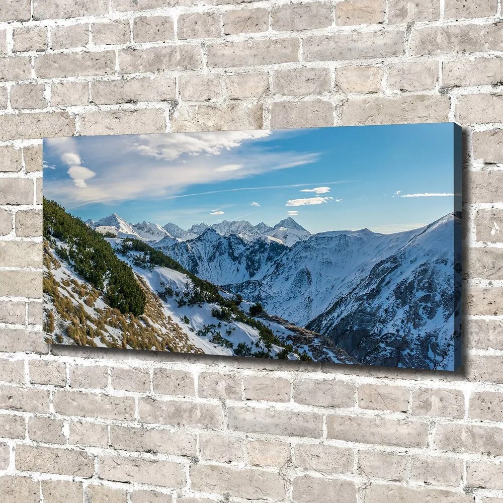 Tablou pe pânză canvas Coroana tatra