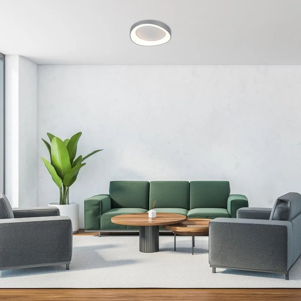 Lustra LED aplicata design circular Iliana 42cm