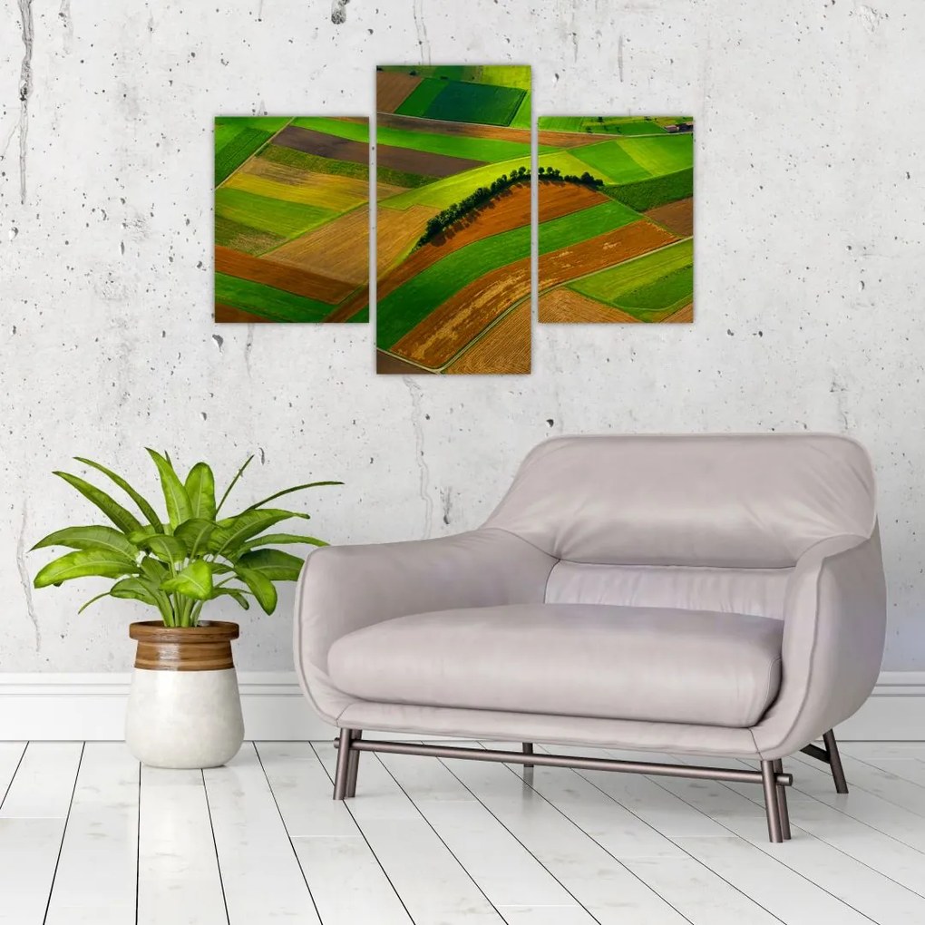 Tablou - Lan, luncile (90x60 cm)