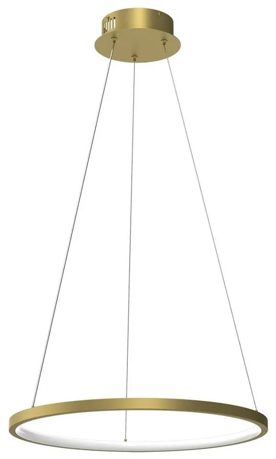 Lustră LED pe cablu HOOP LED/27W/230V d. 50 cm 4000K auriu