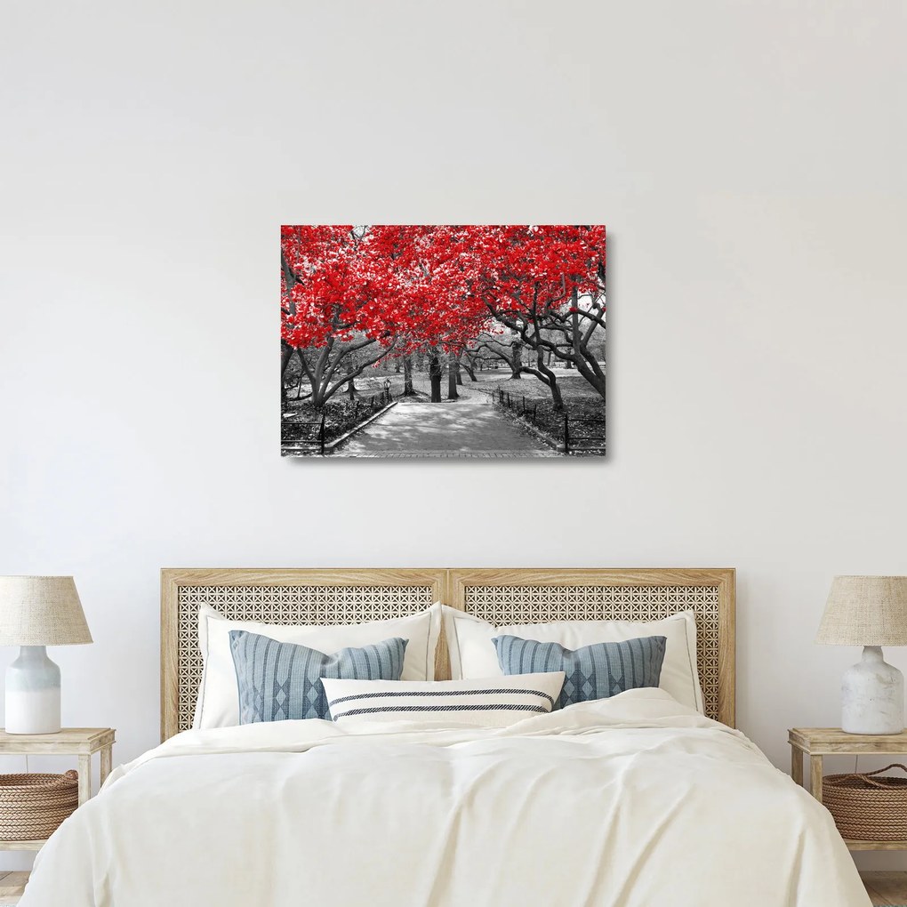 Tablou pe sticlă - Copaci roșii, Central Park, New York (70x50 cm)