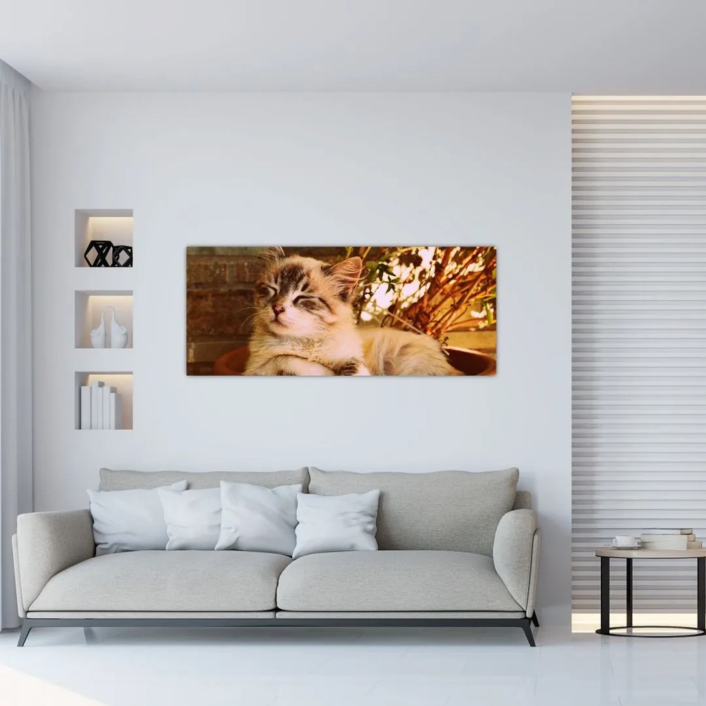 Tablou cu pisica în ghiveci (120x50 cm)