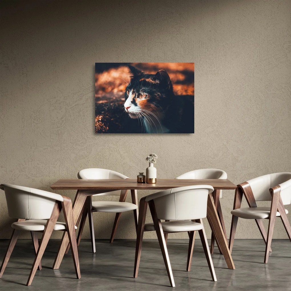 Tablou pe sticlă - Privirea pisicii (70x50 cm)