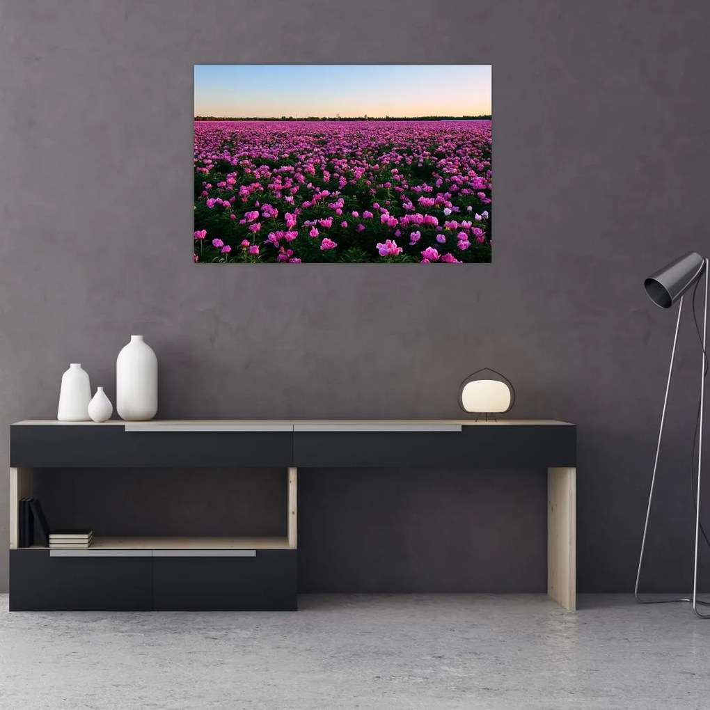 Tablou - Pajiștea cu lalele violet (90x60 cm)