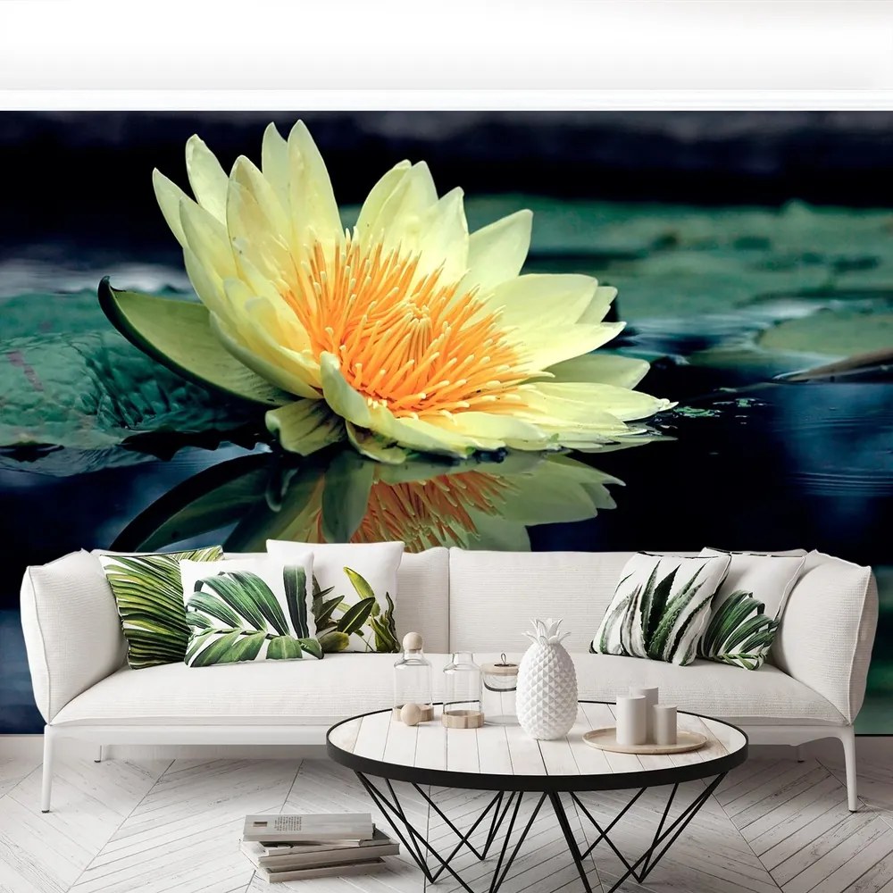 Fototapet Floare de lotus
