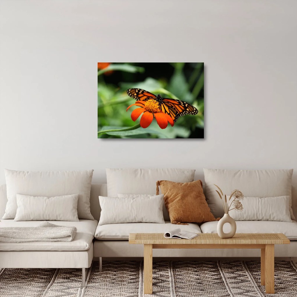 Tablou pe sticlă cu fluture pe floare (70x50 cm)