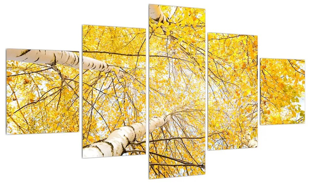 Tablou cu mesteacân (125x70 cm), în 40 de alte dimensiuni noi