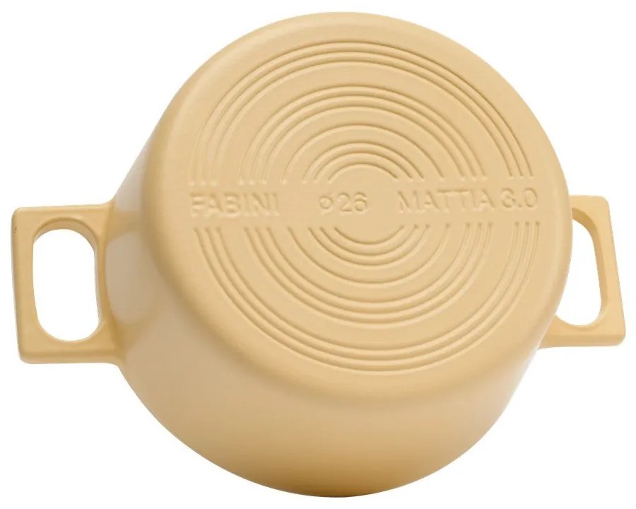 Cratiță cu capac din fontă 5,5 l adecvată pentru plita cu inducție Mattia 3.0 – FABINI