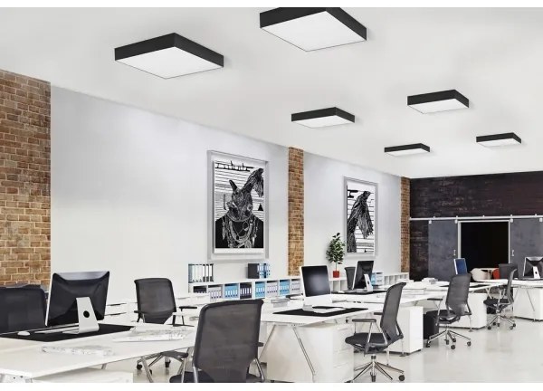 Azzardo AZ2274 - Plafonieră LED MONZA SQUARE 1xLED/50W/230V