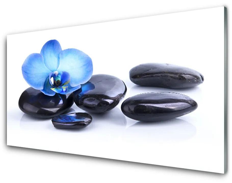 Tablou pe sticla acrilica Pietrele de flori Arta Albastru Negru