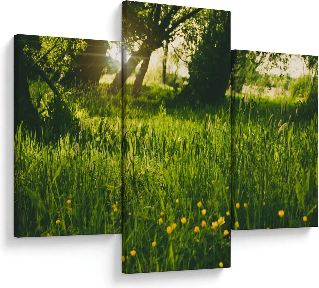 Tablou cu natura - lunca (90x60 cm)