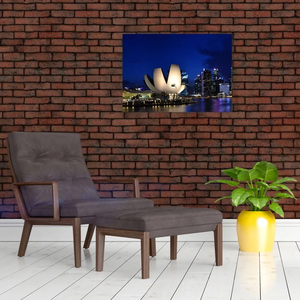Tablou pe sticlă Singapore nocturn (70x50 cm)