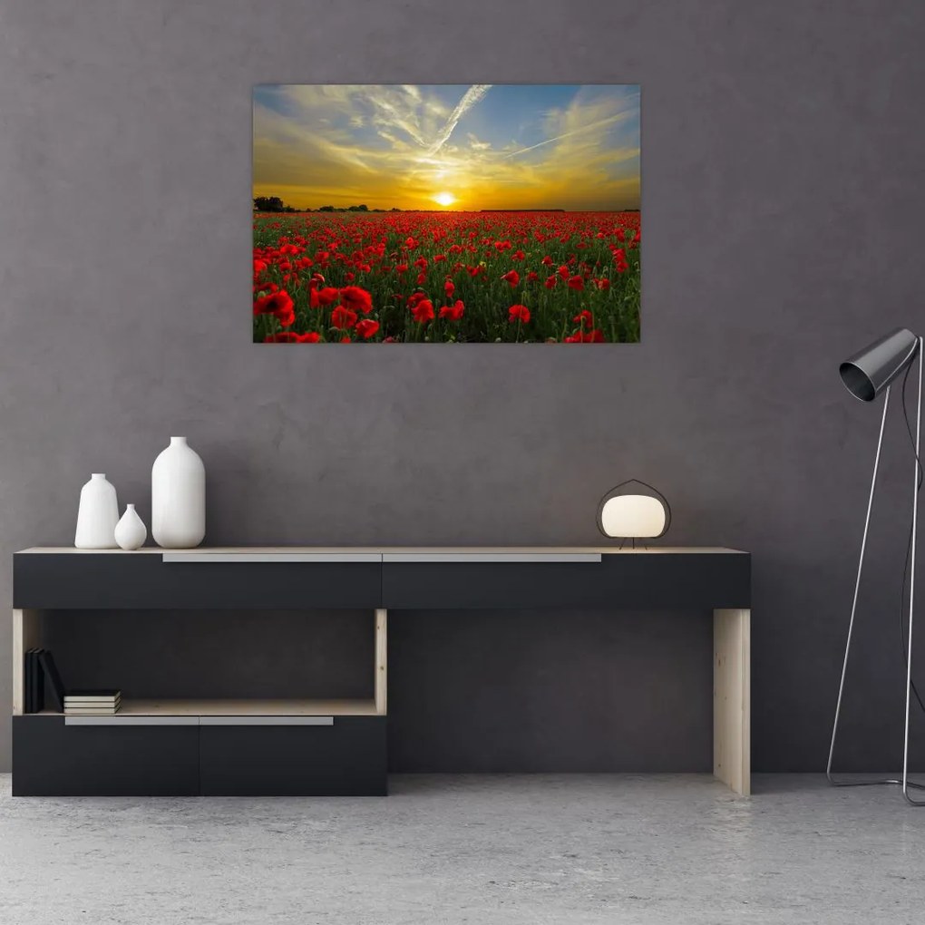 Tablou cu câmp cu maci (90x60 cm)