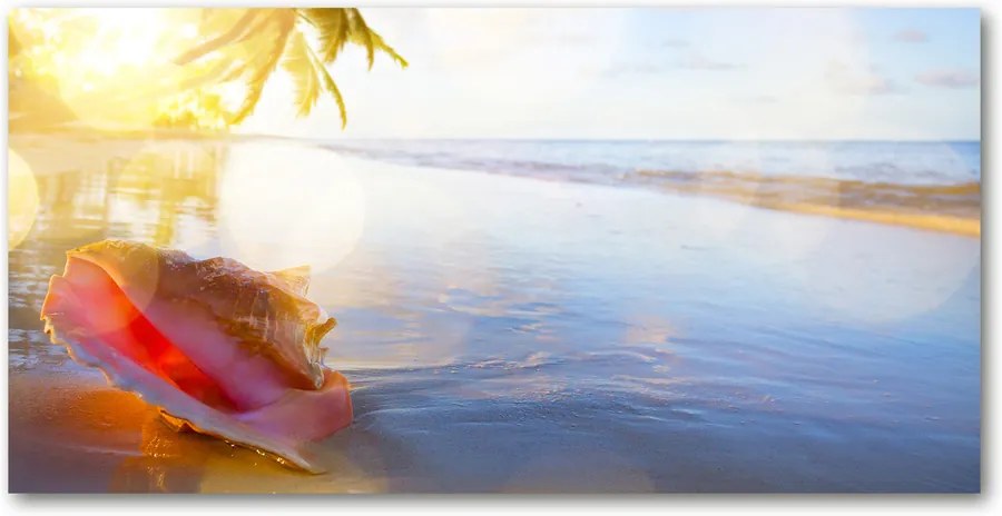 Tablou pe sticlă acrilică Seashell pe plaja