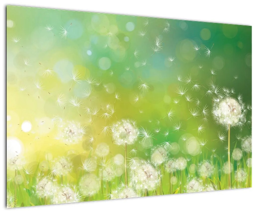 Tablou - Păpădie înflorită (90x60 cm)