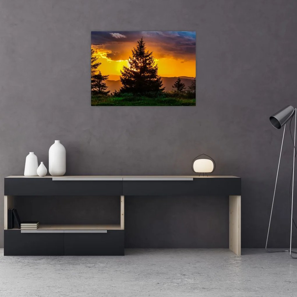 Tablou - coniferi (70x50 cm)