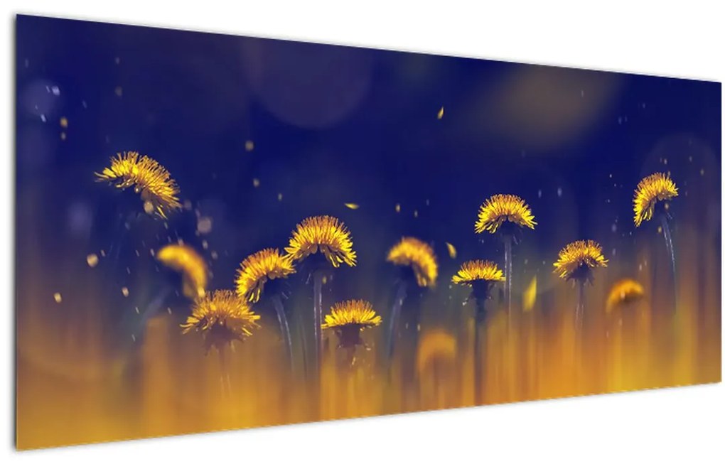 Tablou - Păpădii (120x50 cm)