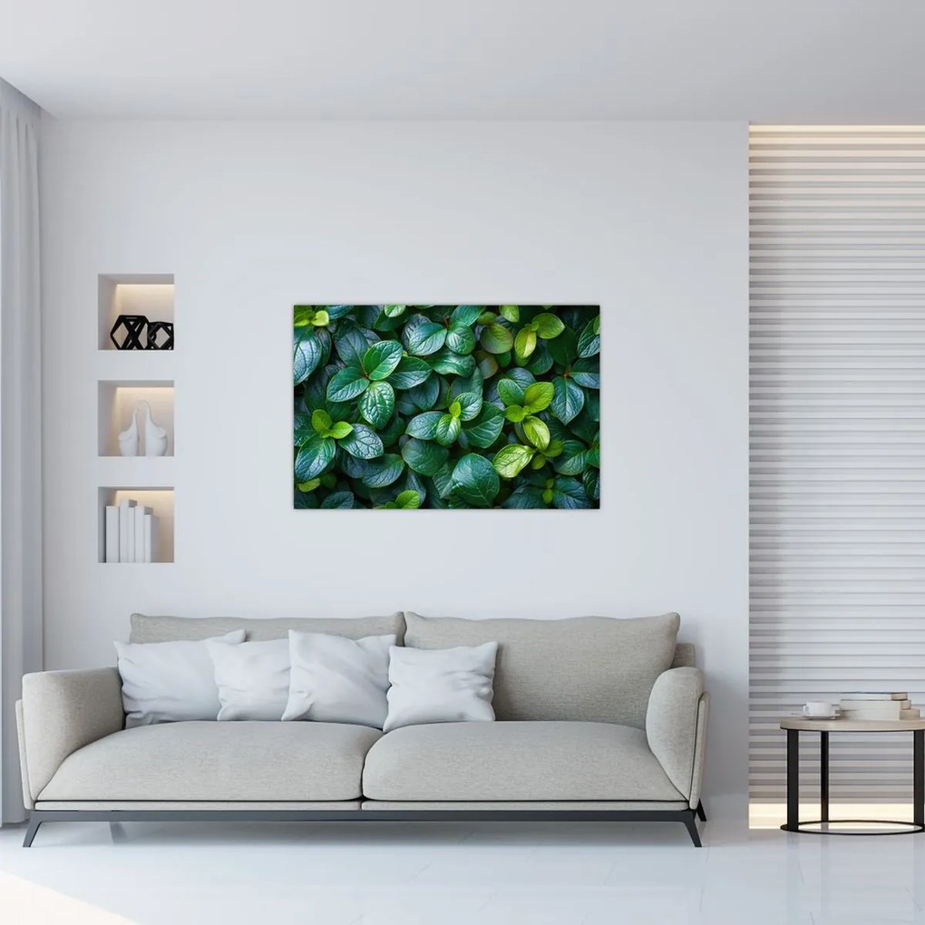 Tablou - Plante verzi (90x60 cm)