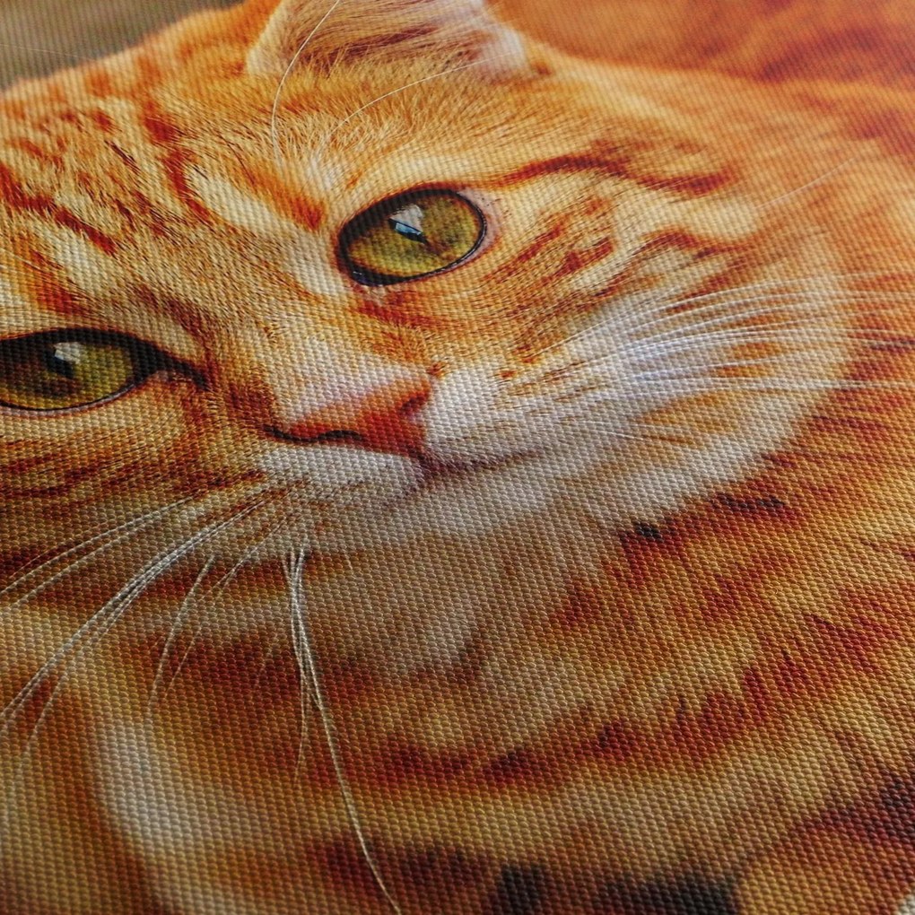 Tablou - Pisica tolenită (120x50 cm)