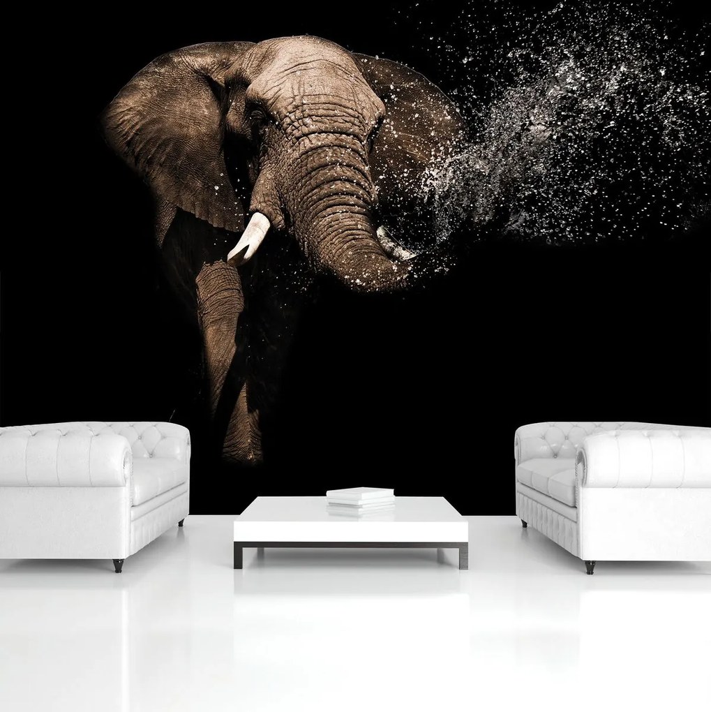 Fototapet - Elefant (254x184 cm)